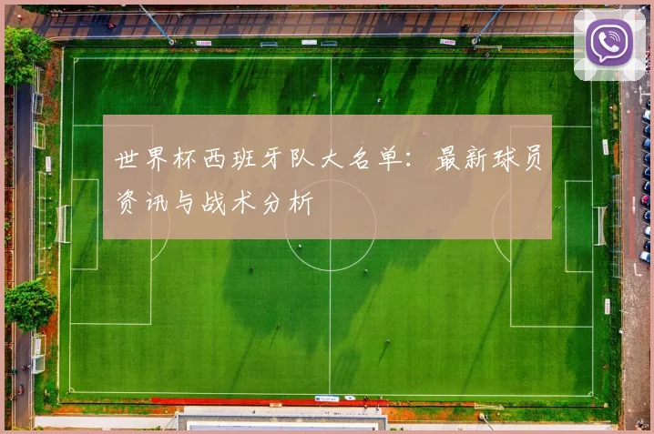 世界杯西班牙队大名单:最新球员资讯与战术分析